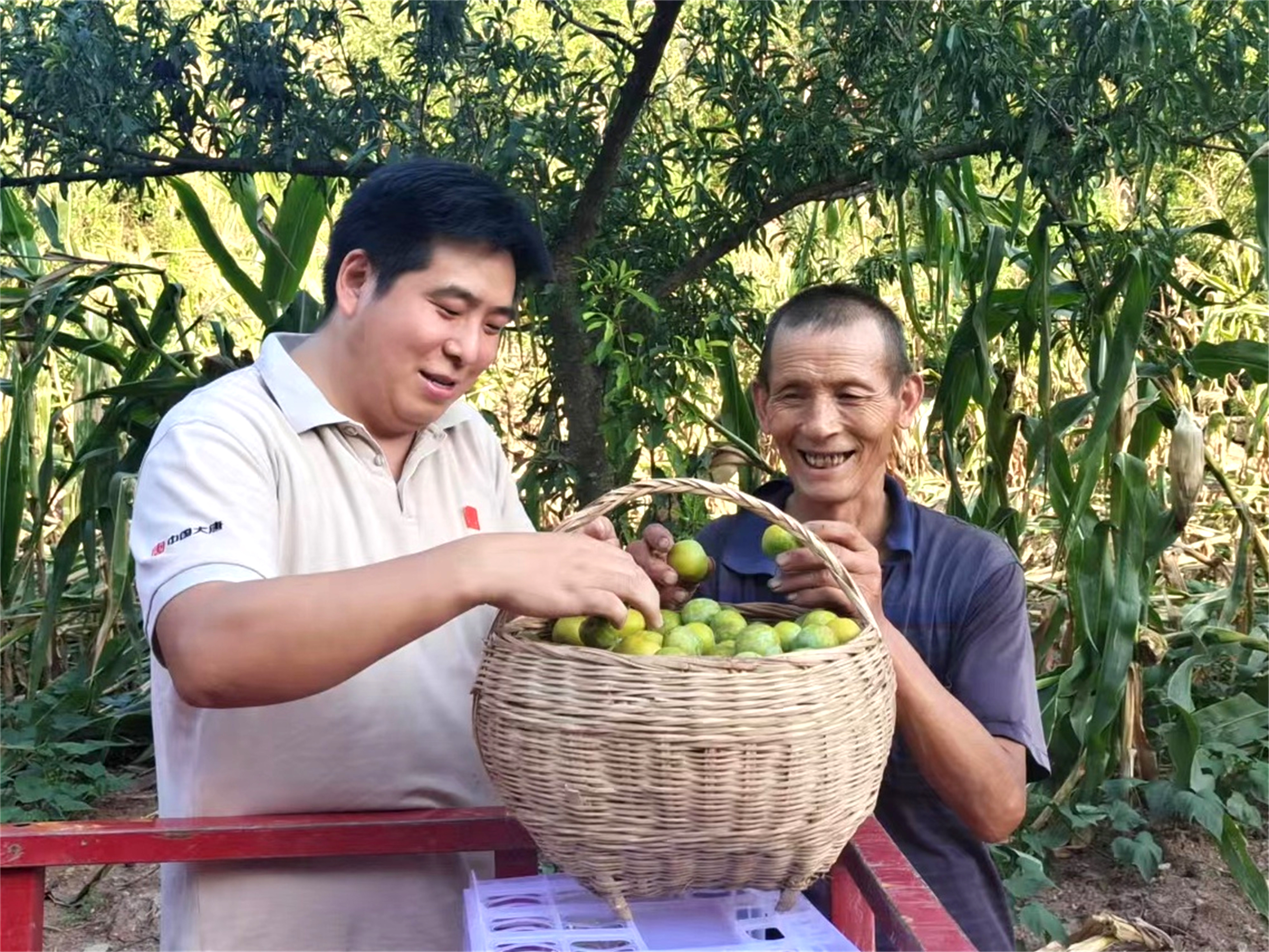 1661841237809028340.jpg 1661841237809028340.jpg