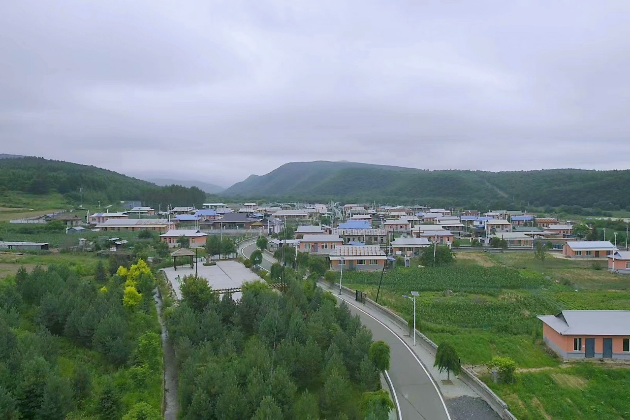 1687935276384025318.jpg b00e8caffa144f8ba122333090d756b7.jpg