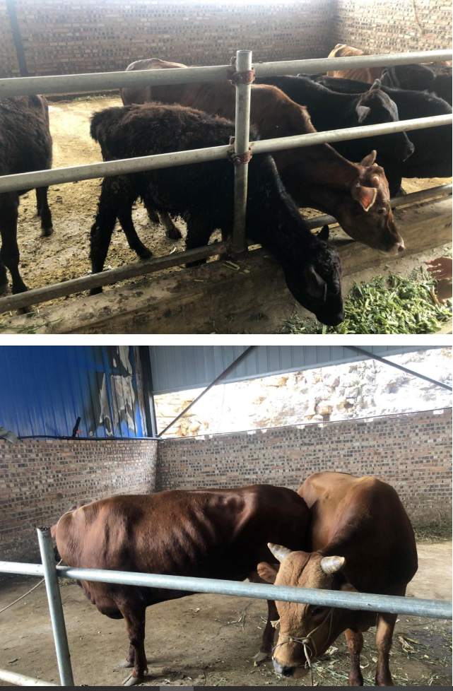 1690188111883047311.png 微信截图_20230724165153.png