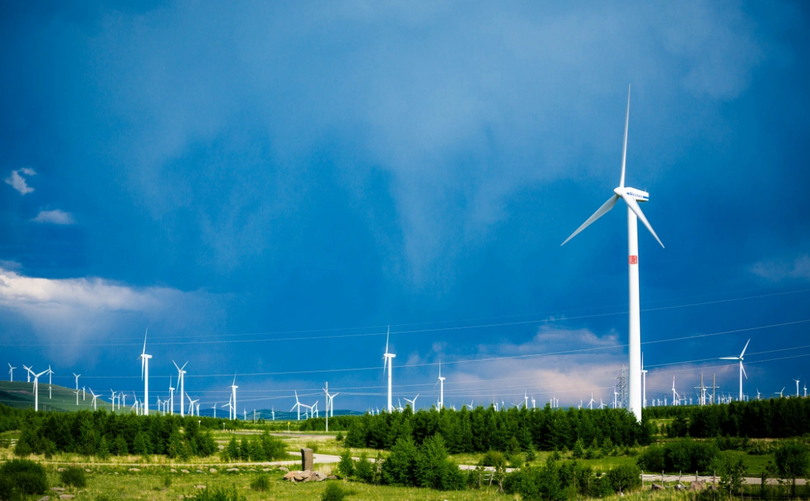 1704163089483021274.png 17373178d524415491f6bfc1becab6ad.png