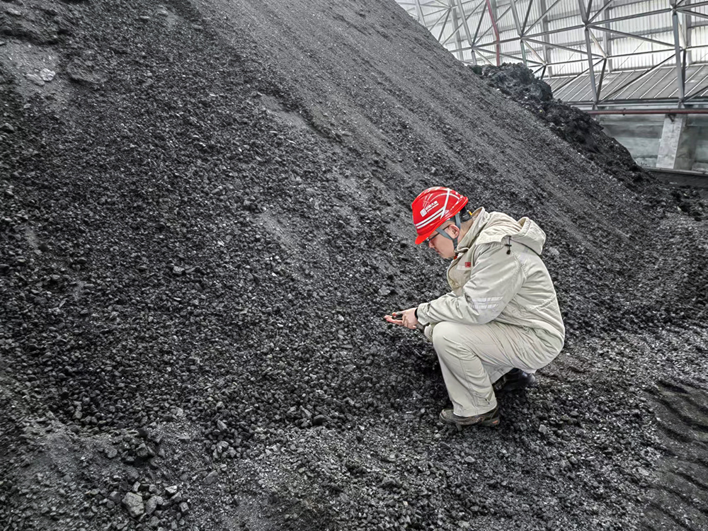 1708326141065028921.jpg 3-大唐东营发电公司职工查看煤炭煤质情况a.jpg