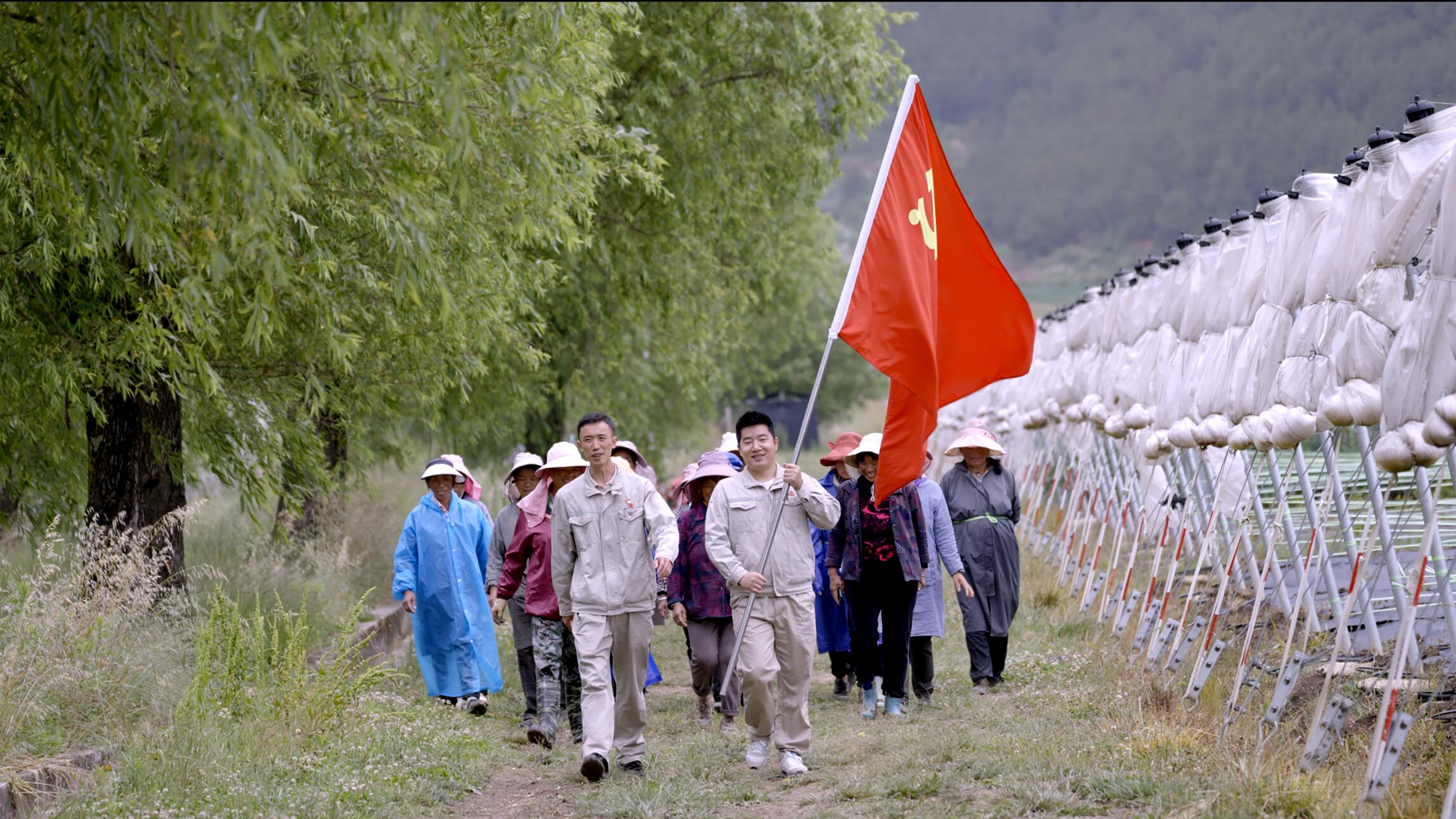 1726124205443013912.jpg 党建帮扶.jpg