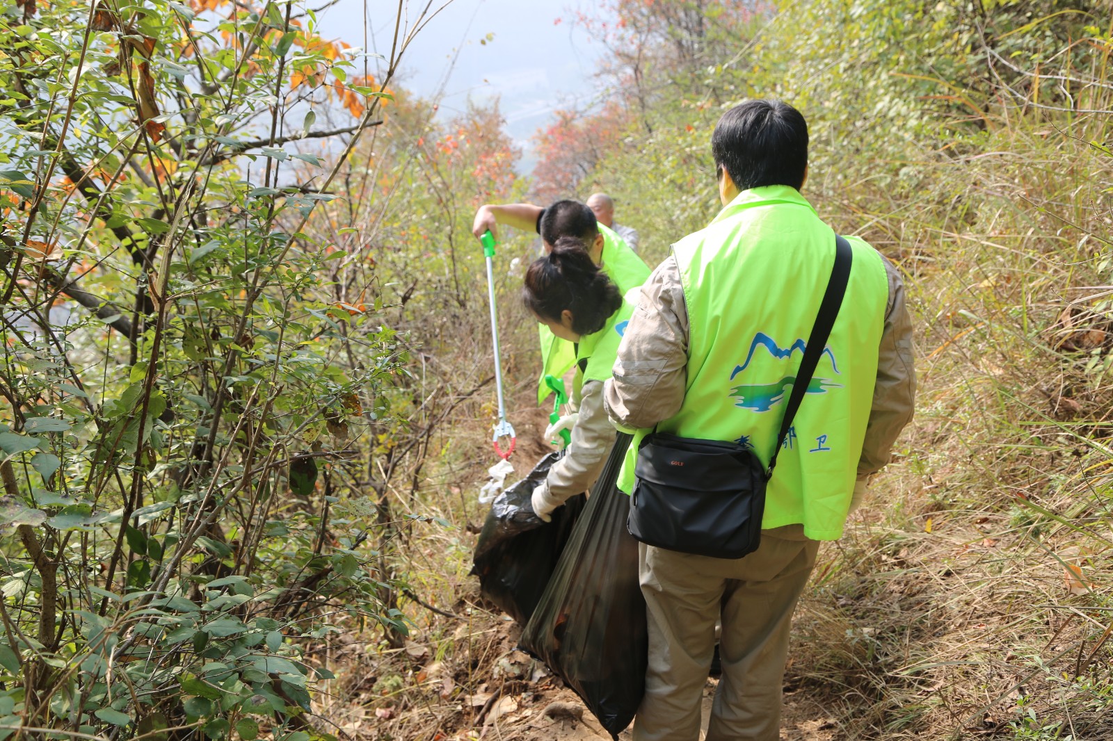 1730944612772060501.jpg 1730944612772060501.jpg